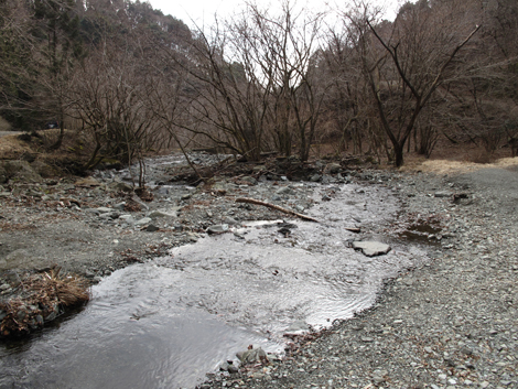 20160204hike (42)